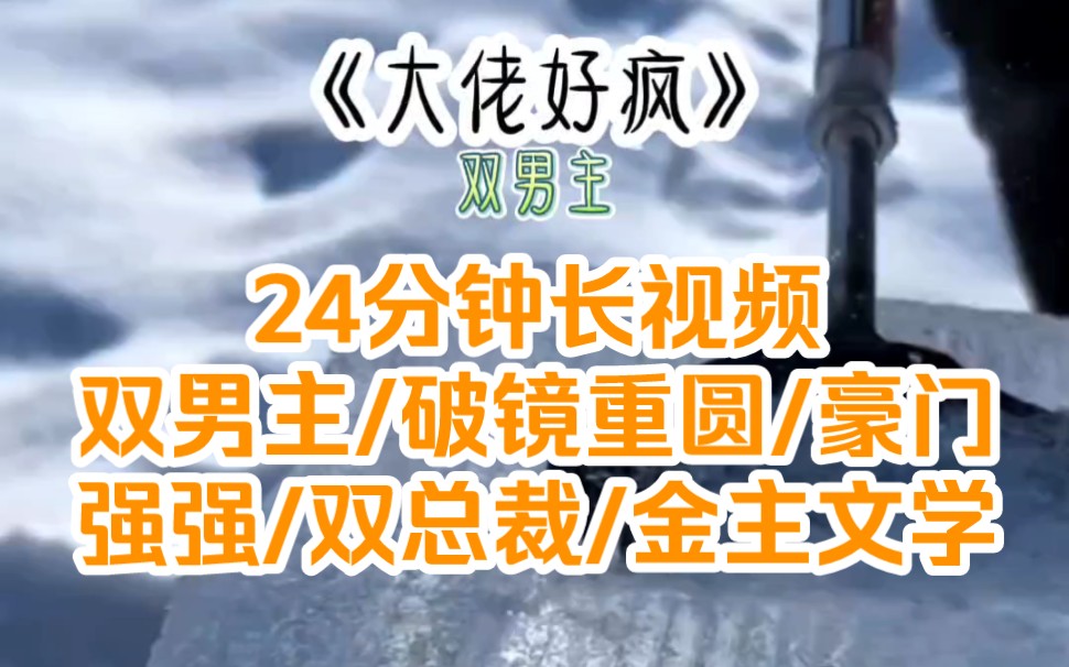 [图]《大佬好疯》24分钟长视频/双男主/破镜重圆/强强/商战/双总裁/金主文学