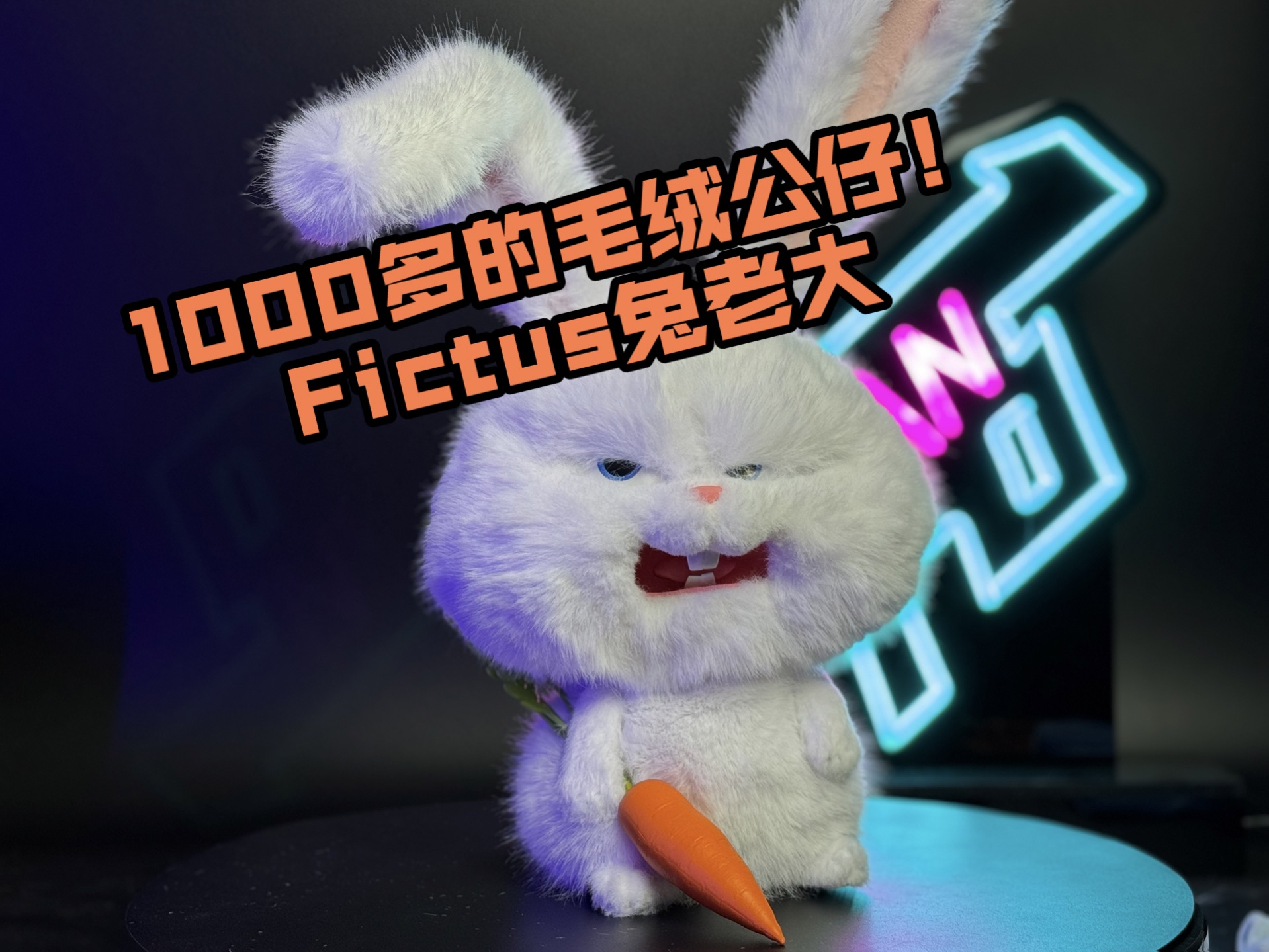 1000多的毛绒公仔!Fictus兔老大哔哩哔哩bilibili