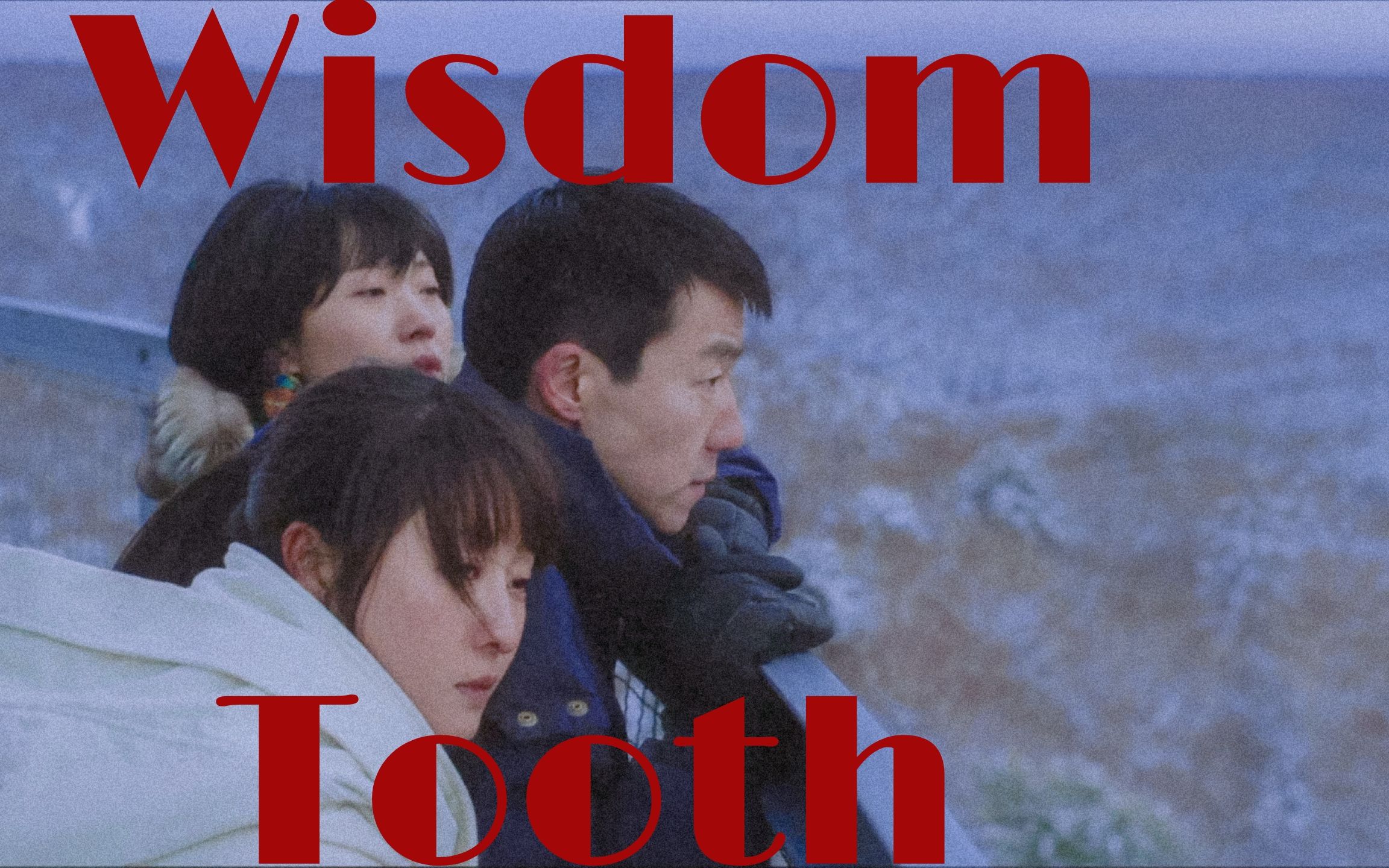 Wisdom Tooth 【日光之下|精卫|吴晓亮】哔哩哔哩bilibili