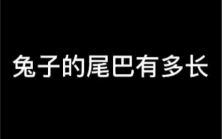 [图]震惊！兔子的尾巴到底有多长？小学课本欺骗了我