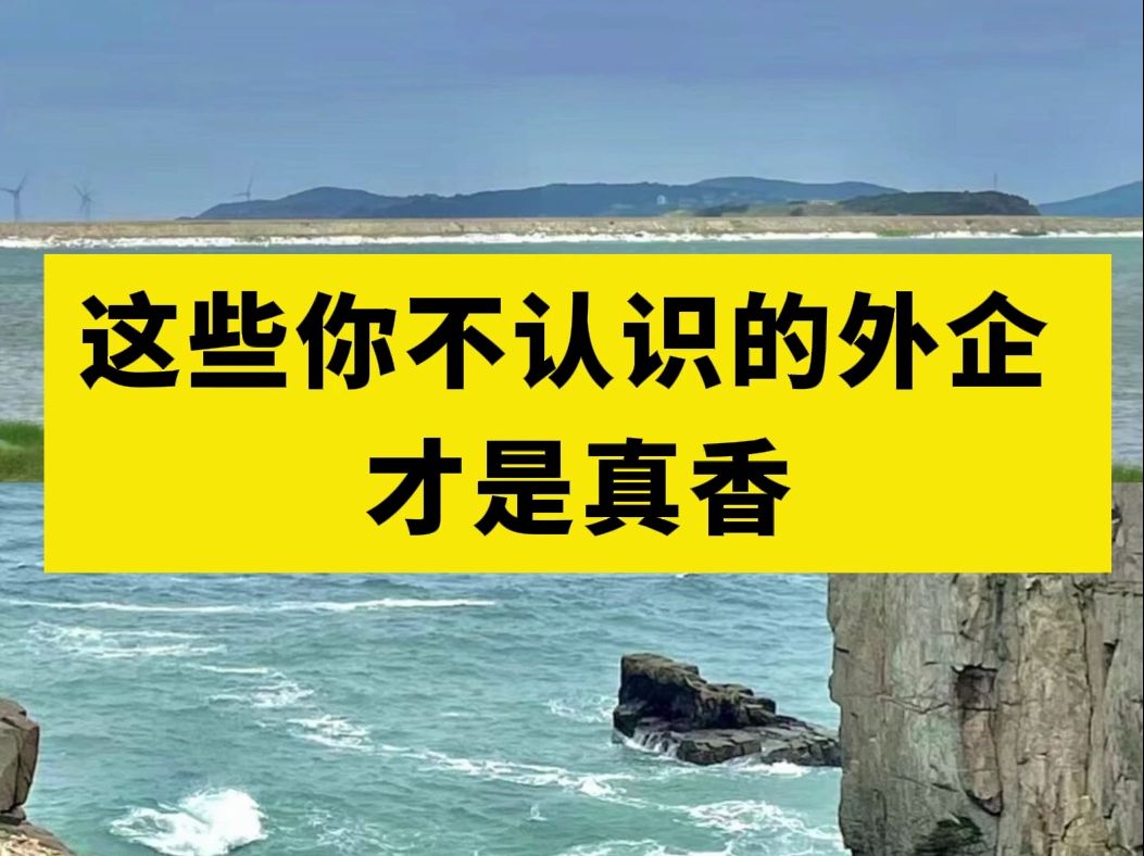 真正香的都是一些冷门小众一点的外企,整理了一份外企招聘汇总表哔哩哔哩bilibili