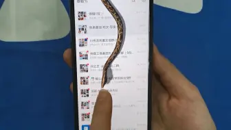今天才知道，手机上可以养条蛇，别人动你手机就爬出来，好吓人！