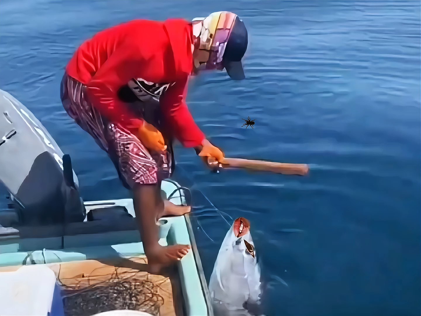 鱼:终于明白了出海打鱼的含义