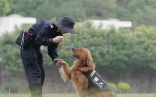 Download Video: 她力量丨专注训犬18年，女警柯婷雅帮助警犬打败“螨虫”