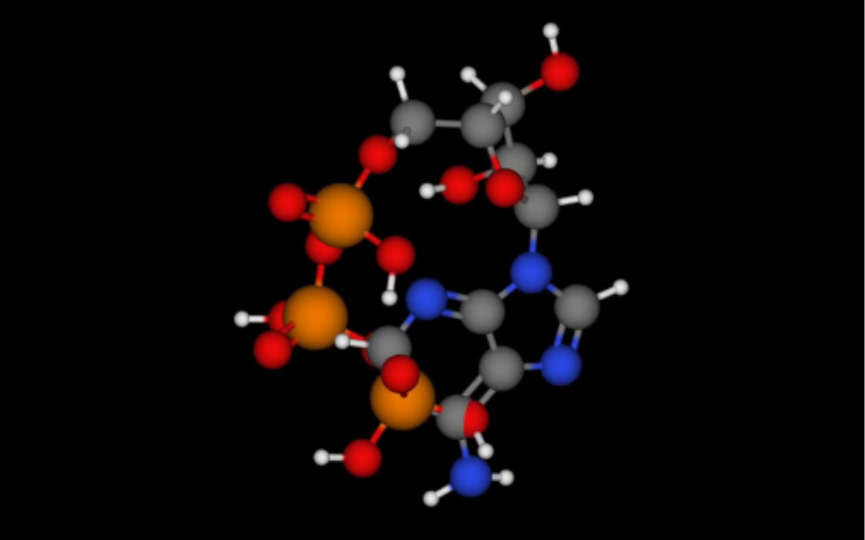 腺苷三磷酸旋转一分钟.avi哔哩哔哩bilibili