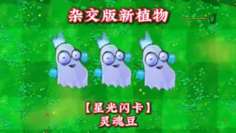 Download Video: 杂交版新植物：【星光闪卡】灵魂豆