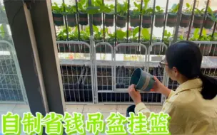 Descargar video: 为了在阳台种健康无害的有机菜想尽办法，能用省钱办法就用省钱办法。