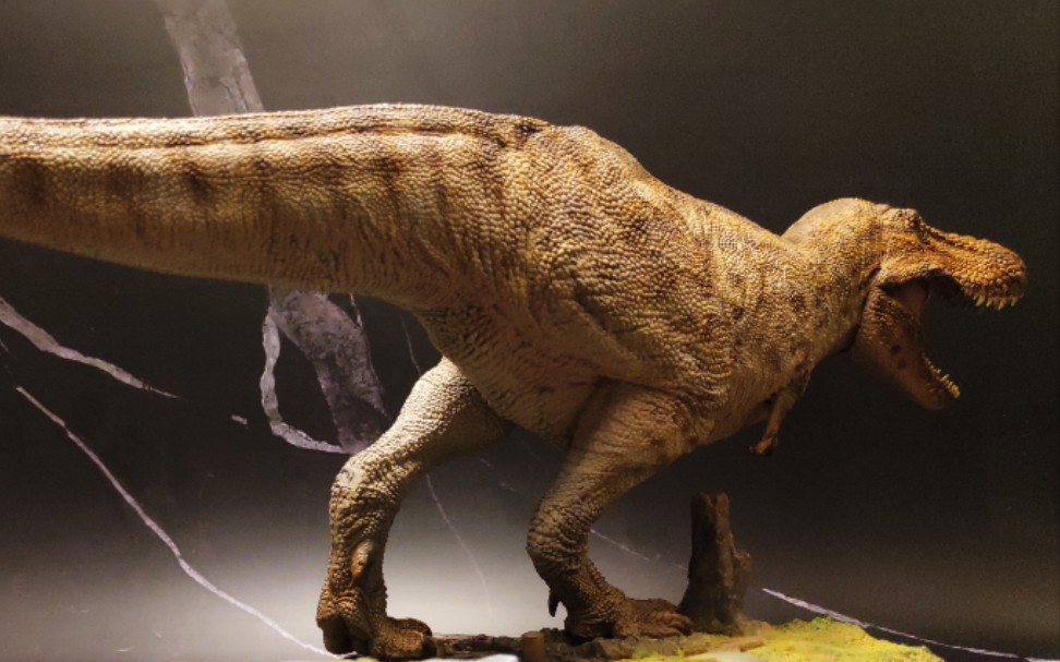 活动  pnso霸王龙重涂 第三方地台