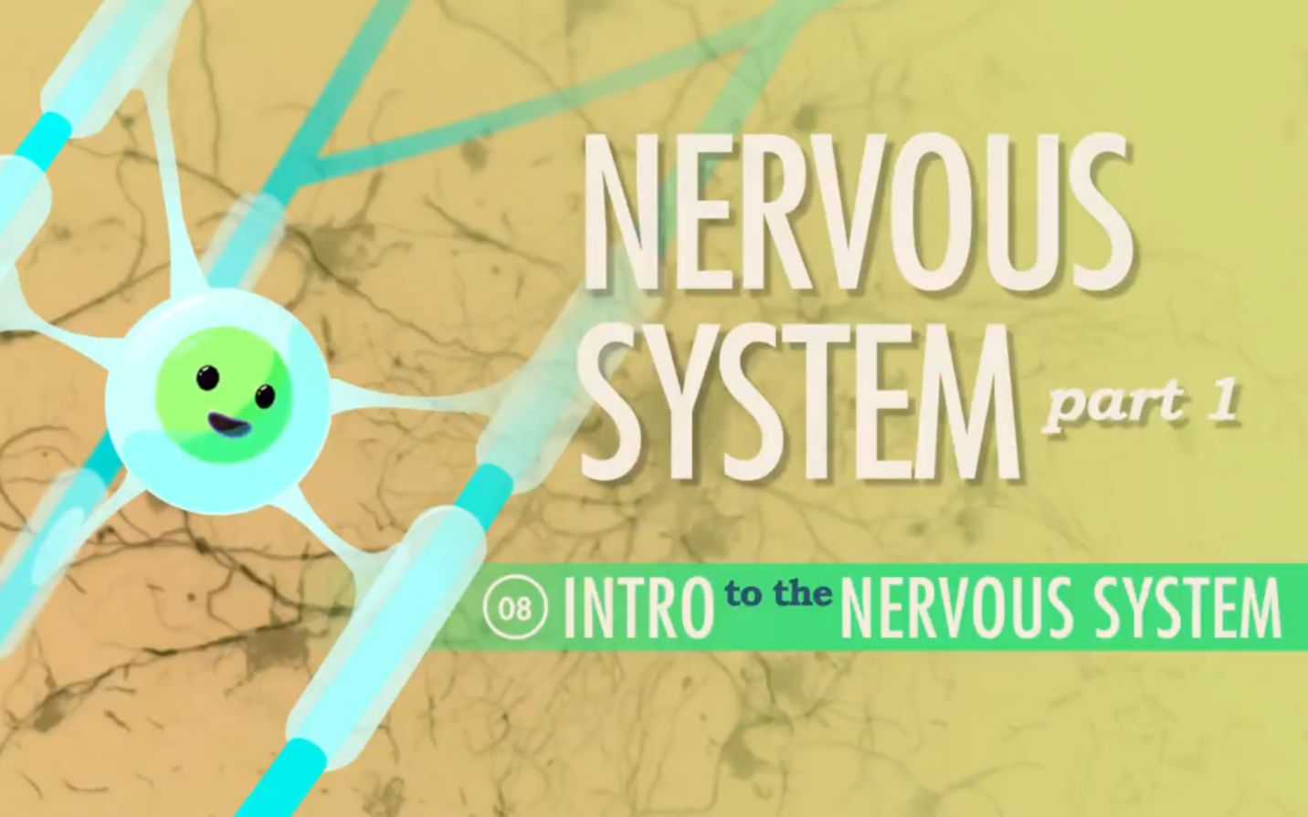 [图]Neurobiology Crash Course