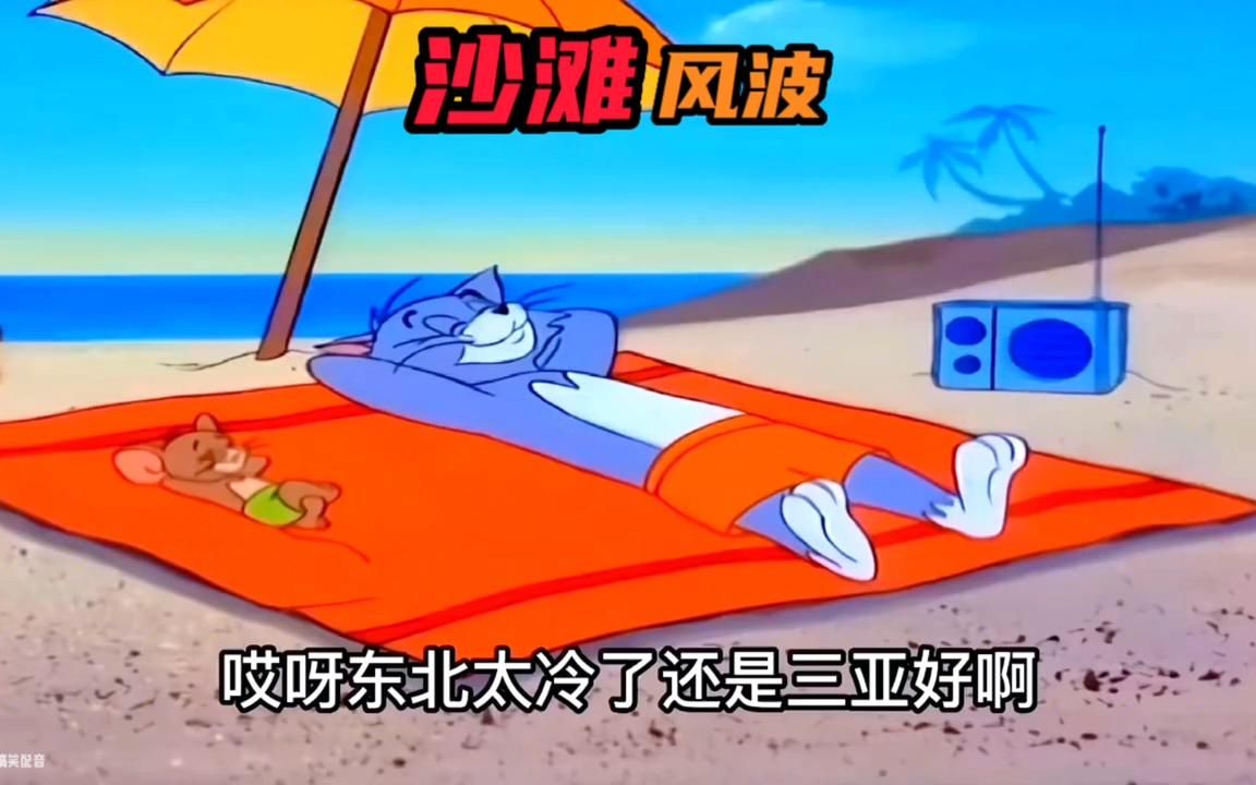 搞笑配音:沙滩偶遇没素质看猫和老鼠如何惩治他
