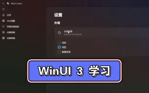 Download Video: 【整活】WinUI 3学习记录：已经初步有了一个应用程序的样子(依赖插件)