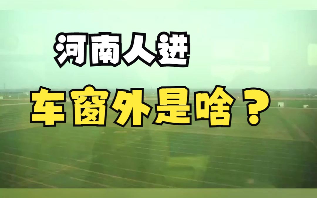 河南网友快来回答,车窗外那一片绿色是啥?哔哩哔哩bilibili