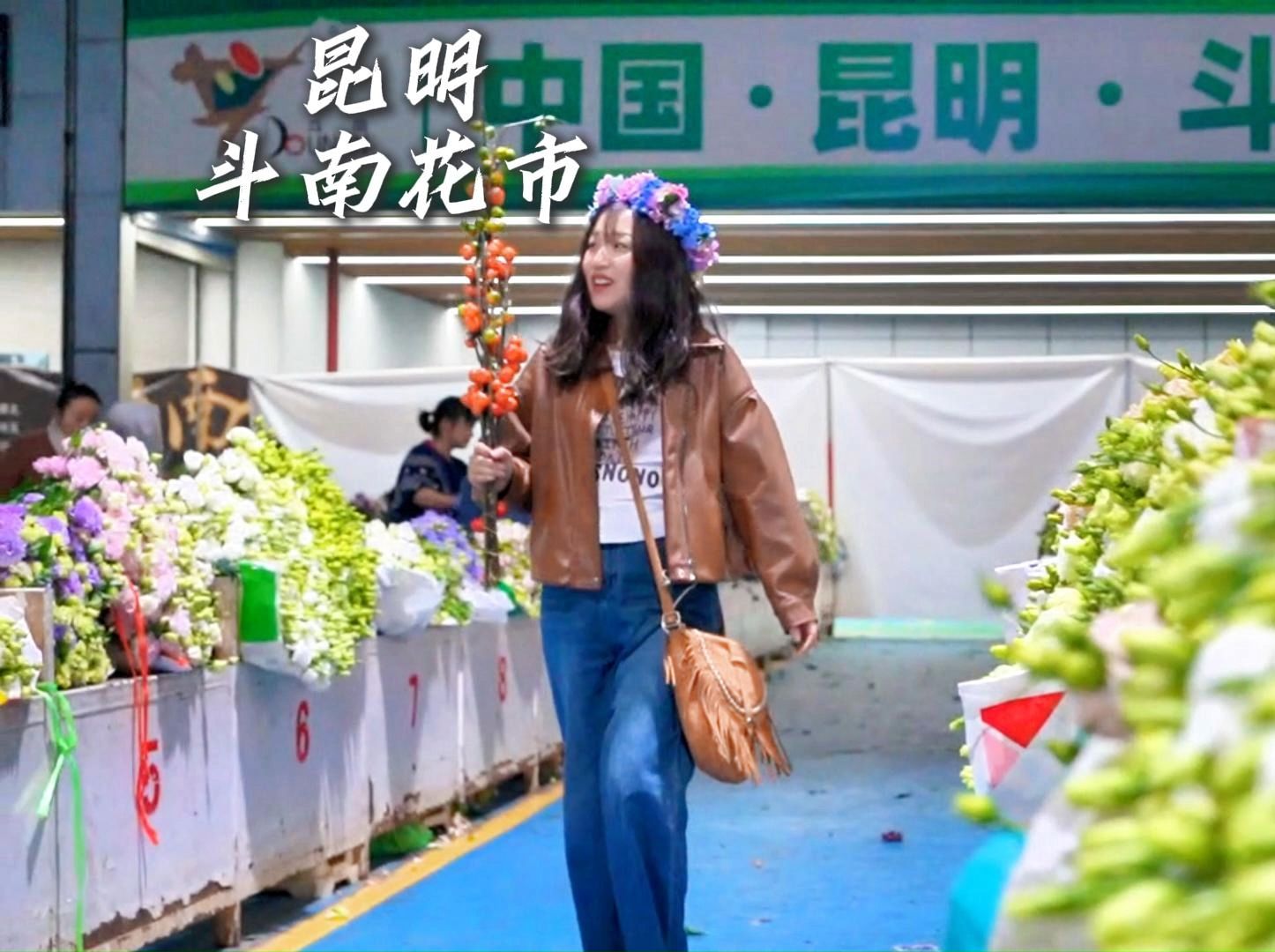 昆明斗南花市|不仅低价买花,还可以捡花❗轻松实现鲜花自由❗哔哩哔哩bilibili