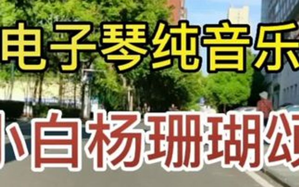 [图]两首经典老歌电子琴纯音乐串烧。