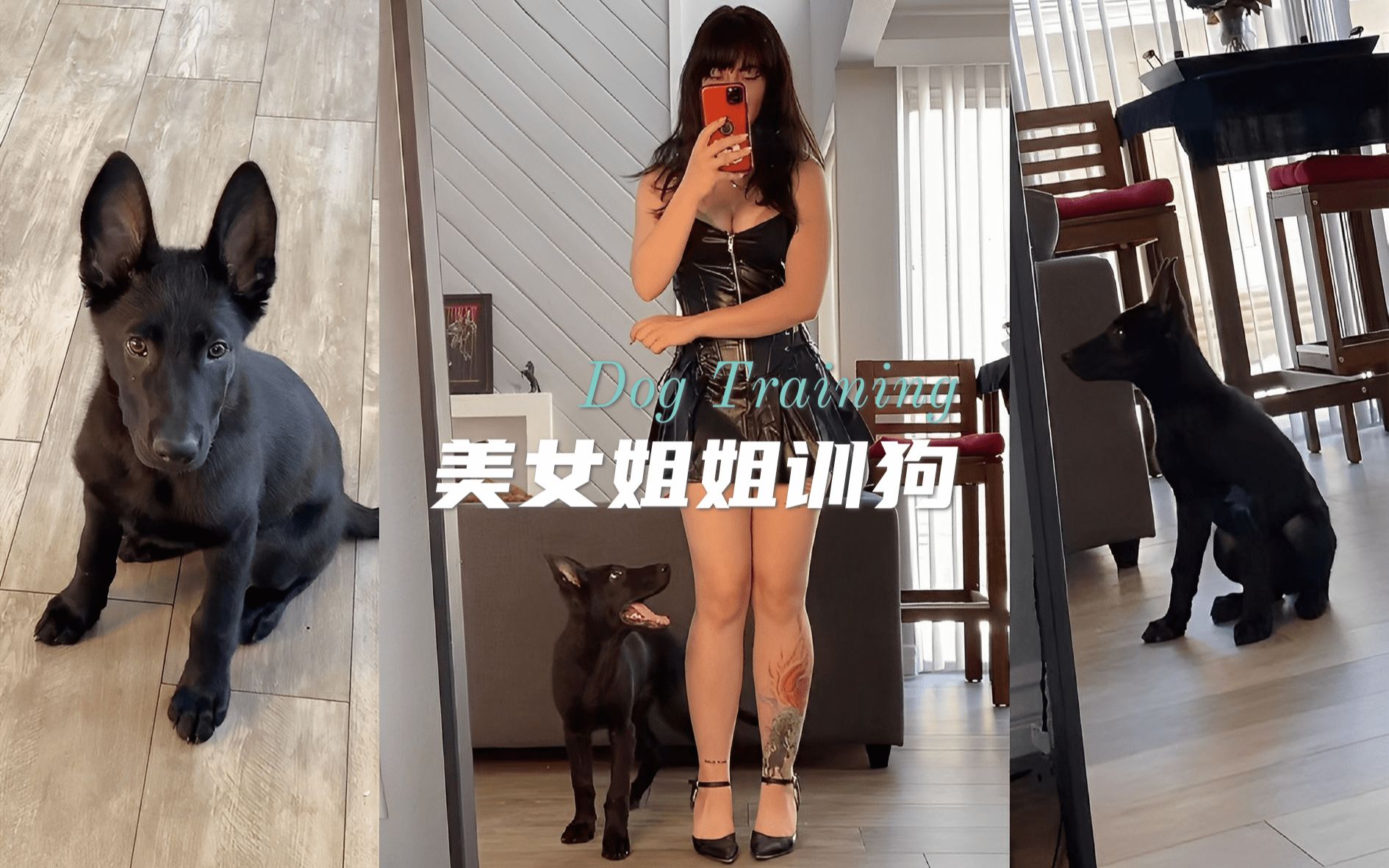 [图]看美女姐姐如何训练她的新狗勾 ?