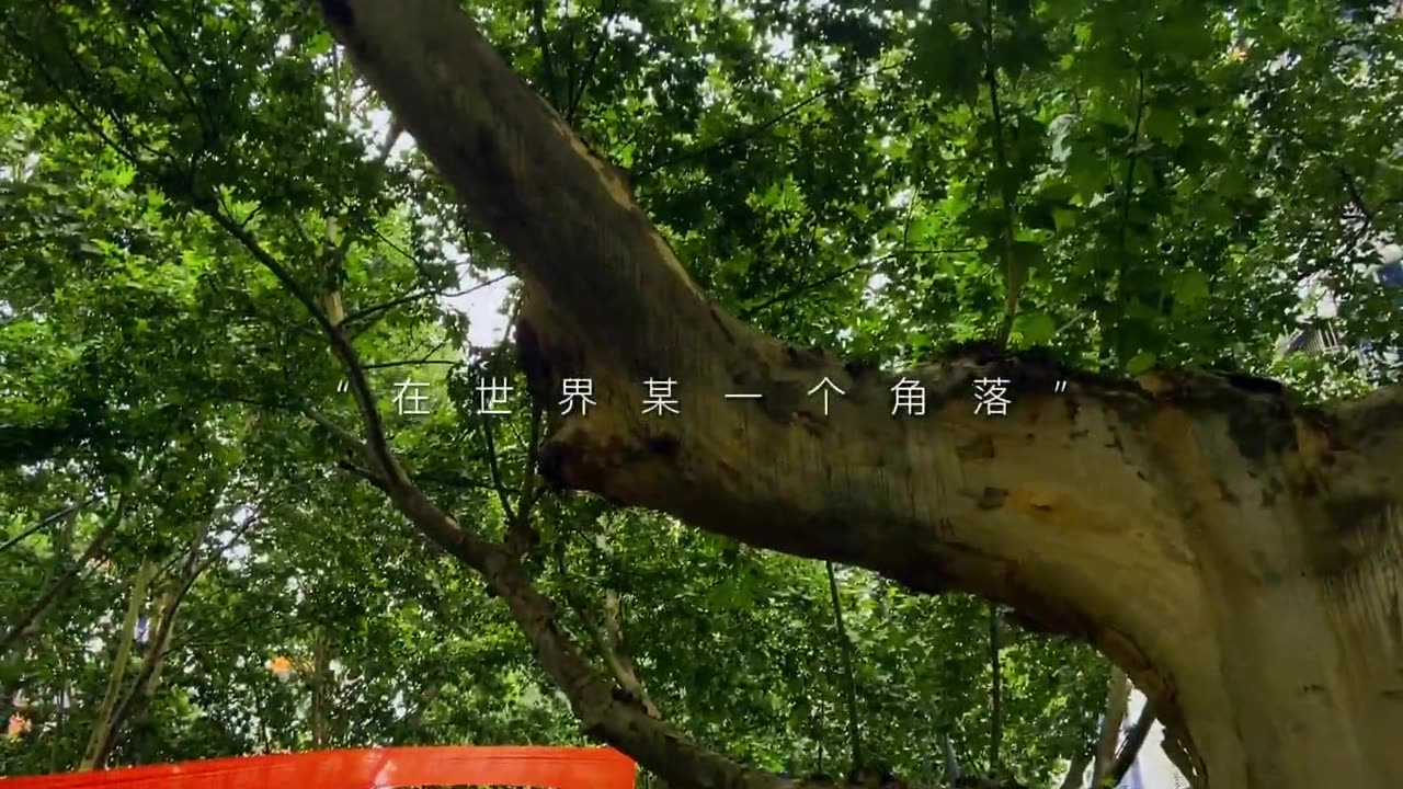 [图]人间最美，不过鲸落，一念山河成，一念百草生。鲸落，是鲸给大海最后的温柔_情感 热歌分享