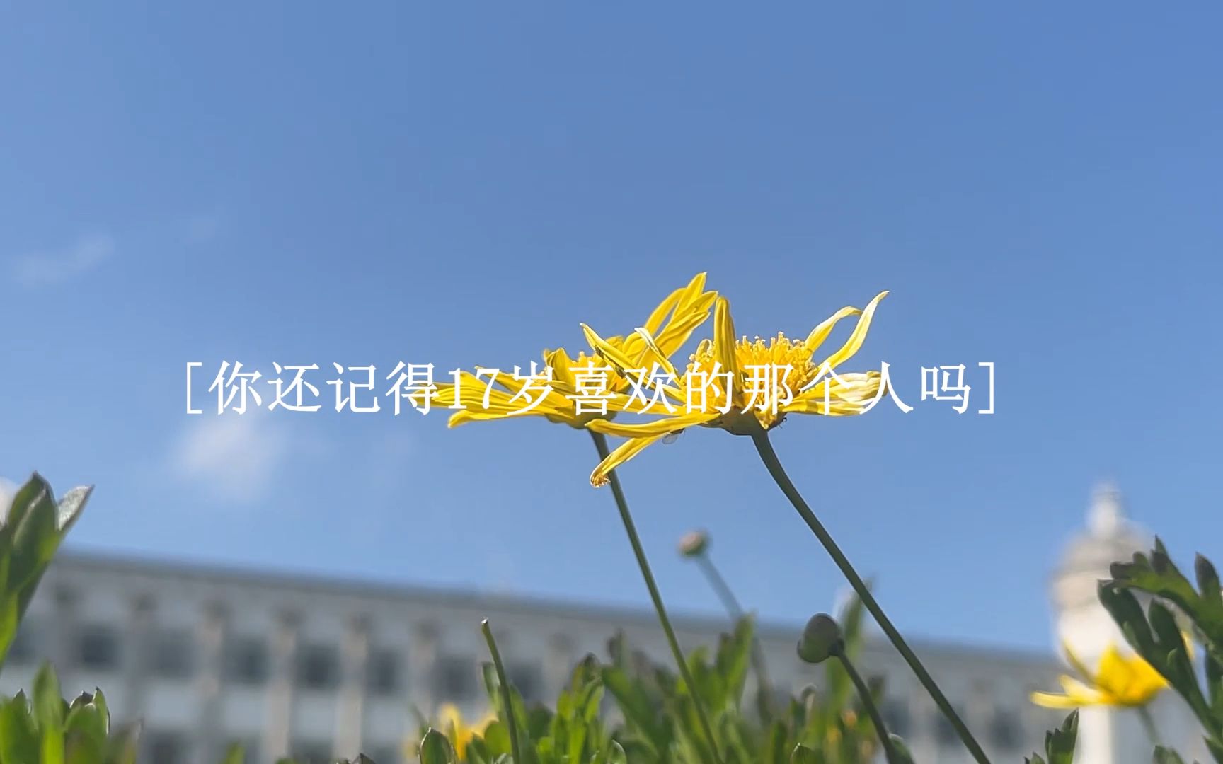 大一期末翻拍-偷偷藏不住