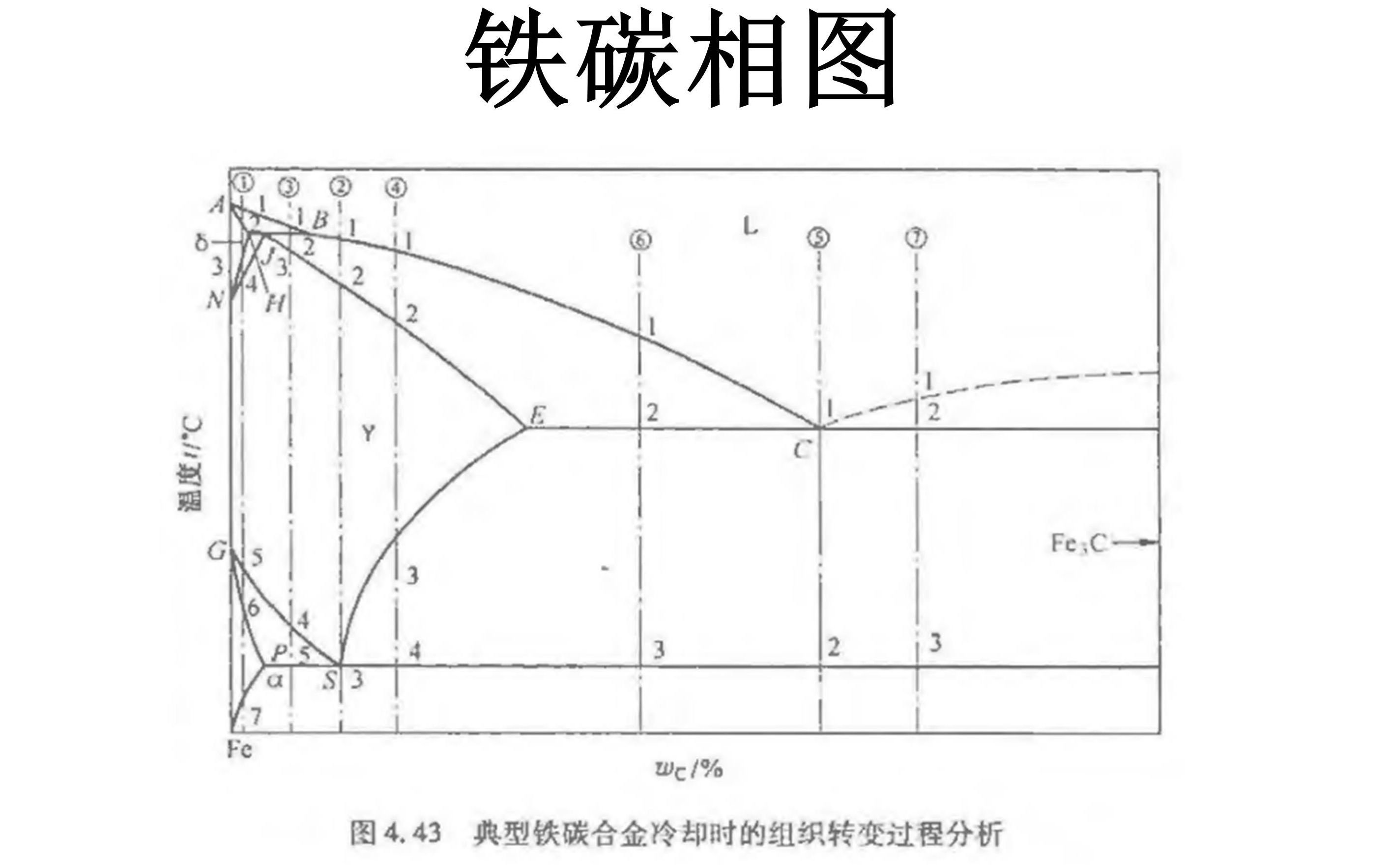 材料科学基础,铁碳相图画法哔哩哔哩bilibili