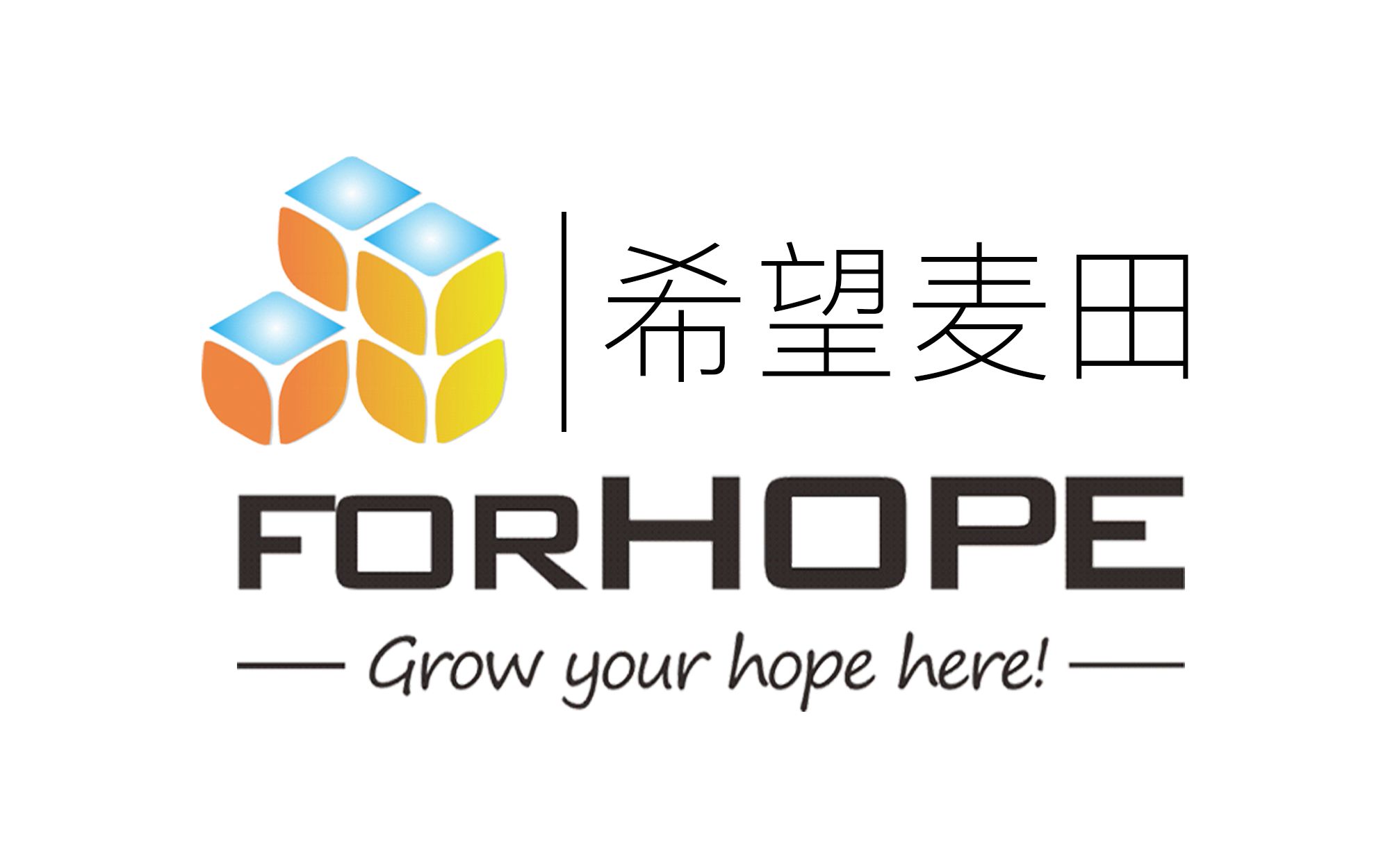 希望麦田 ForHope科技 | 小麦800pro 无线图传 菜单信息介绍哔哩哔哩bilibili