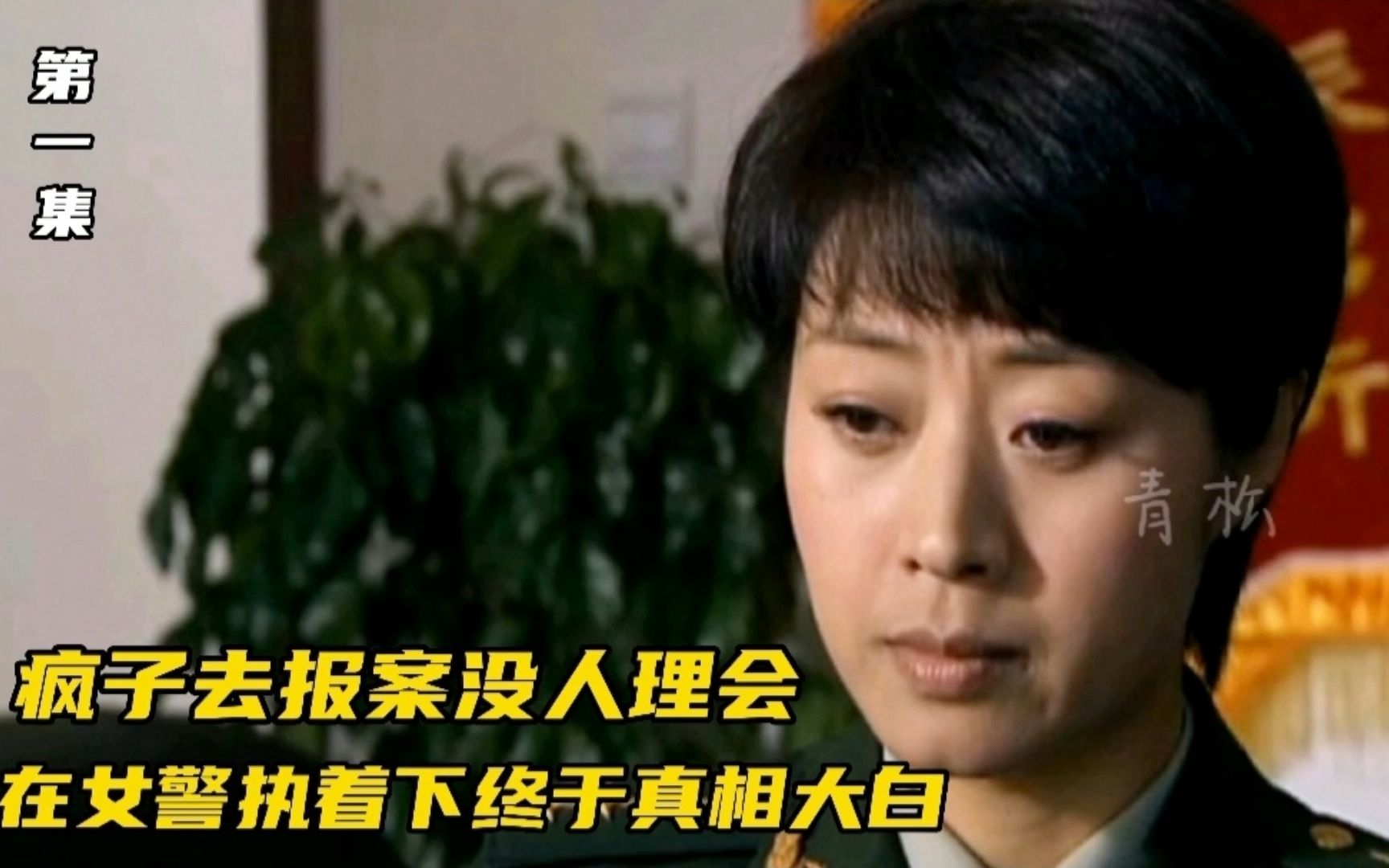 [图]《军人荣誉之英雄荣耀》疯子去报案没人理会，在女警执着下真相大白（1）