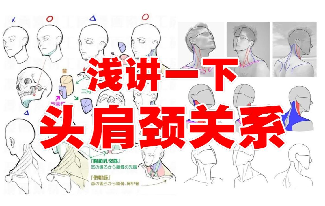 浅讲一下头肩颈关系!