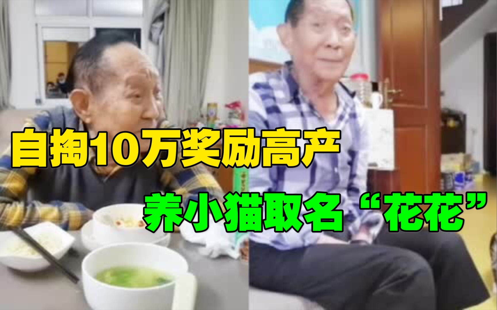 团队博士拍下袁隆平晚年生活日常:自掏10万奖励高产,养小猫取名“花花”哔哩哔哩bilibili