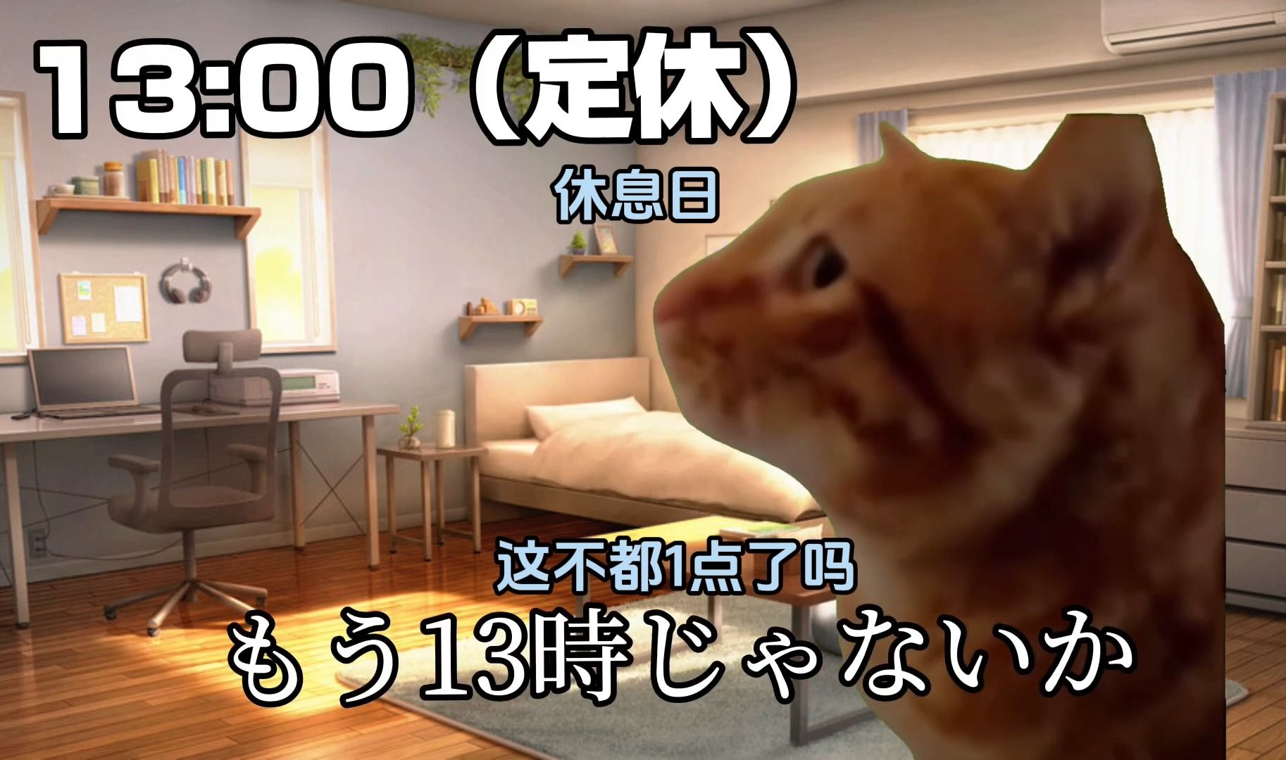 【熟/猫meme】在殡葬公司干活的牛马故事(夜班篇2)哔哩哔哩bilibili