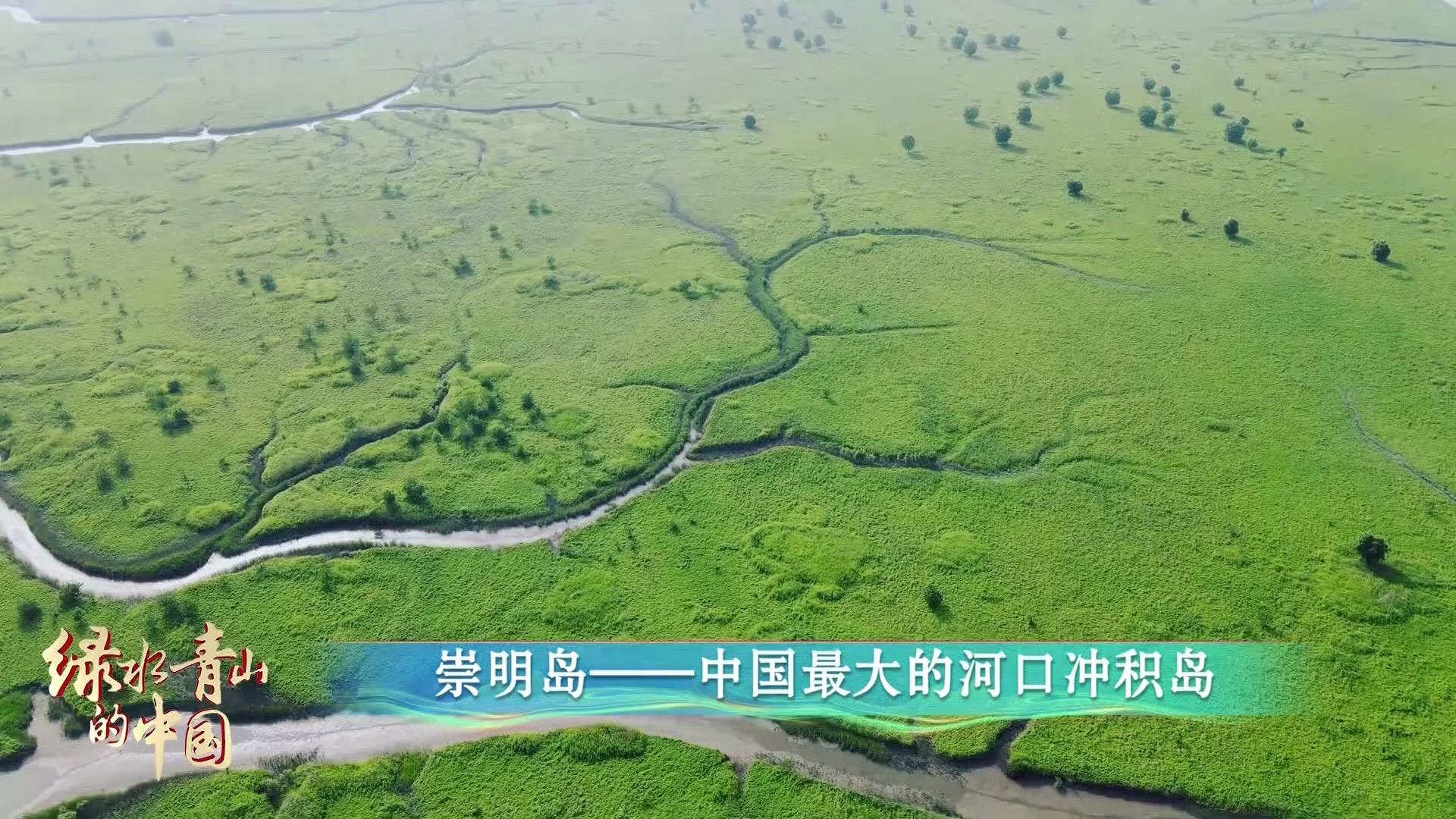 世界级生态岛!上海崇明岛中国最大的河口冲积岛哔哩哔哩bilibili