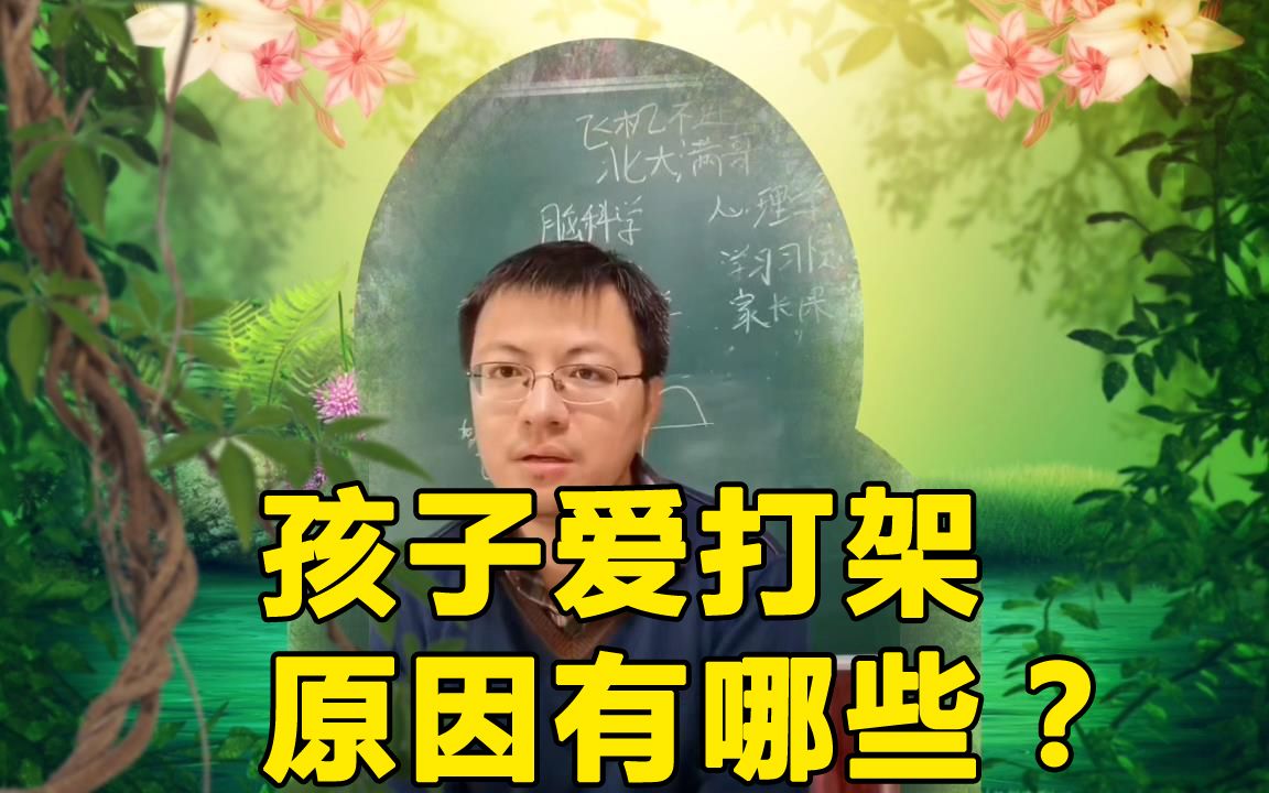 孩子为什么爱打架?家长应该怎么办,北大满哥教家长从3个方面着手哔哩哔哩bilibili