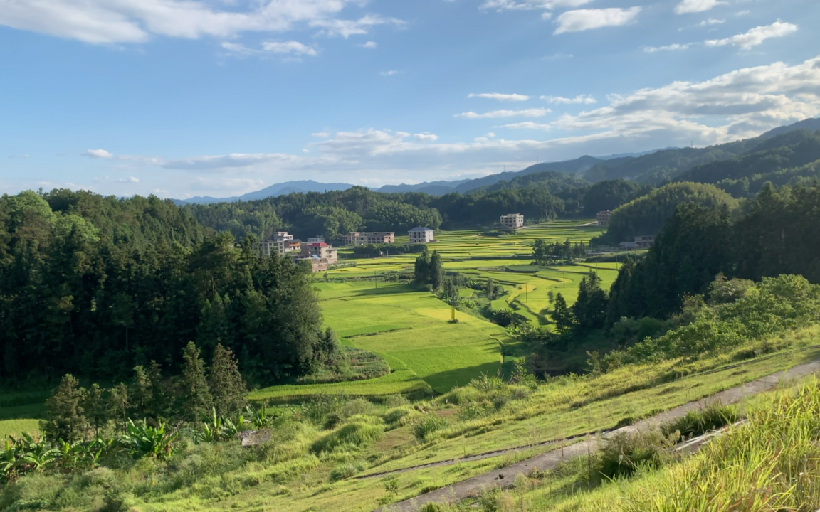 水库乡间田野