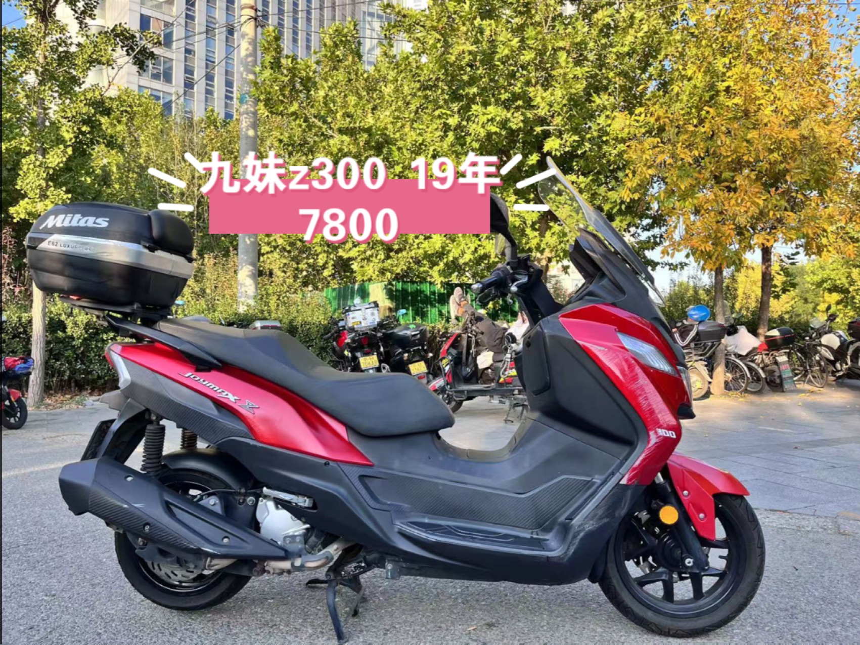 三阳z300参数配置图片