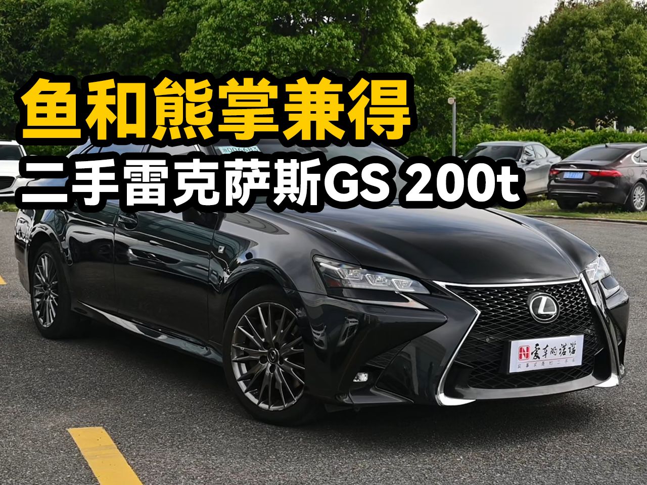 鱼和熊掌兼得,二手雷克萨斯gs 200t