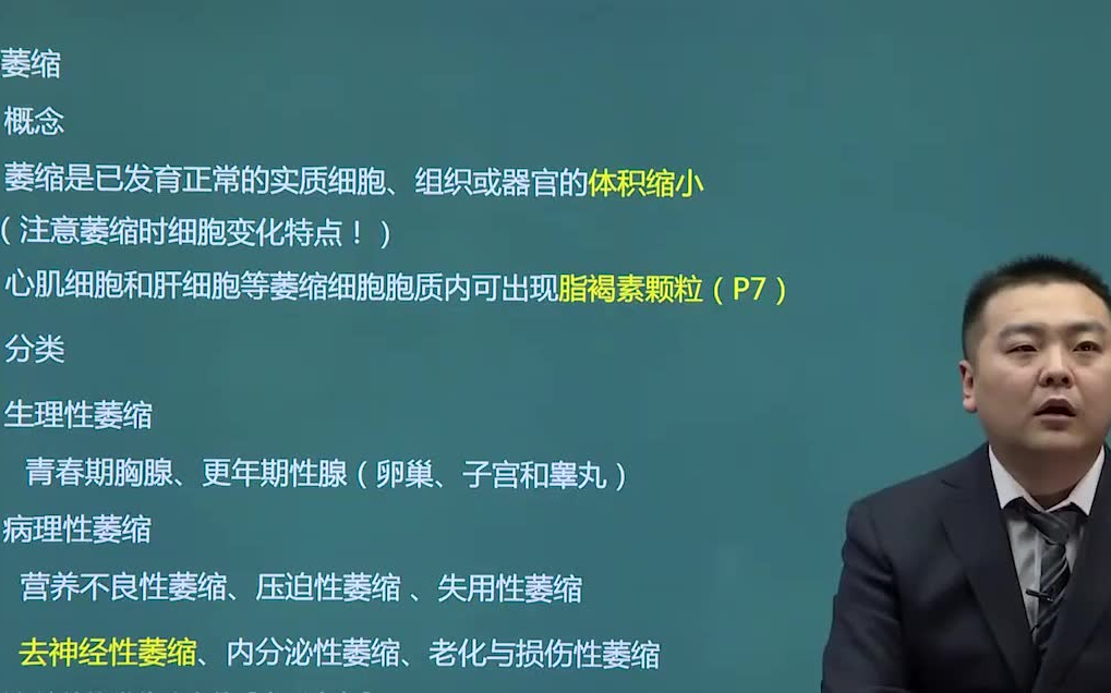 2022考研西医综合 西综基础班 病理学基础精讲【持续更新中】哔哩哔哩bilibili