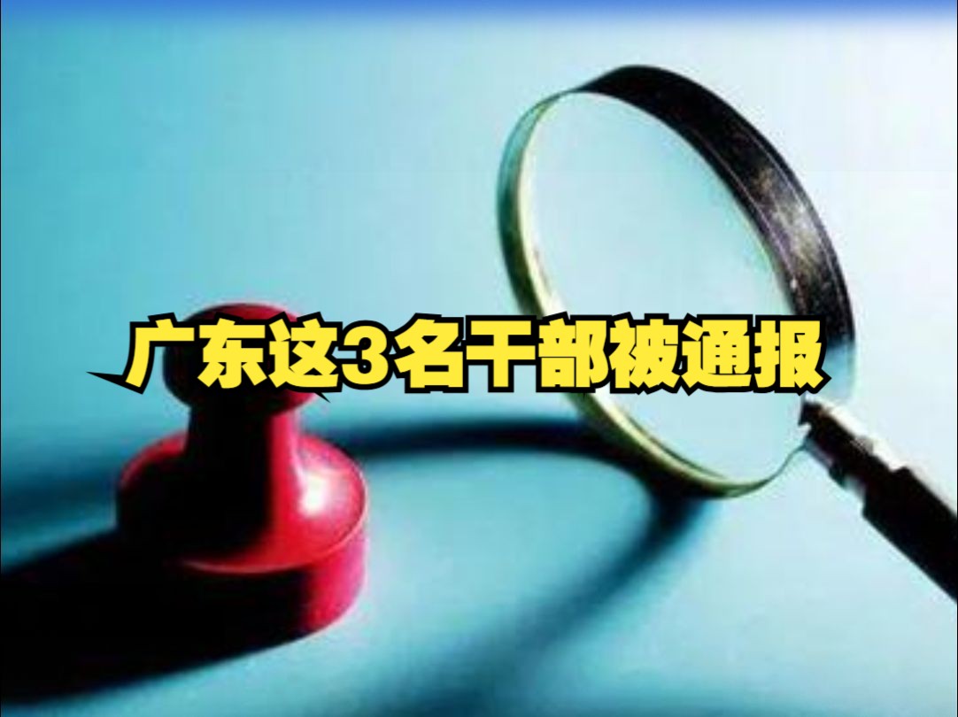 广东这3名干部被通报哔哩哔哩bilibili