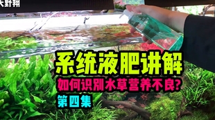 系统液肥讲解第三集各种液肥使用的注意点 啰嗦减少版 哔哩哔哩 つロ干杯 Bilibili