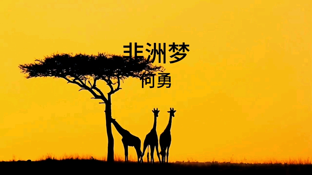 何勇巜非洲梦》