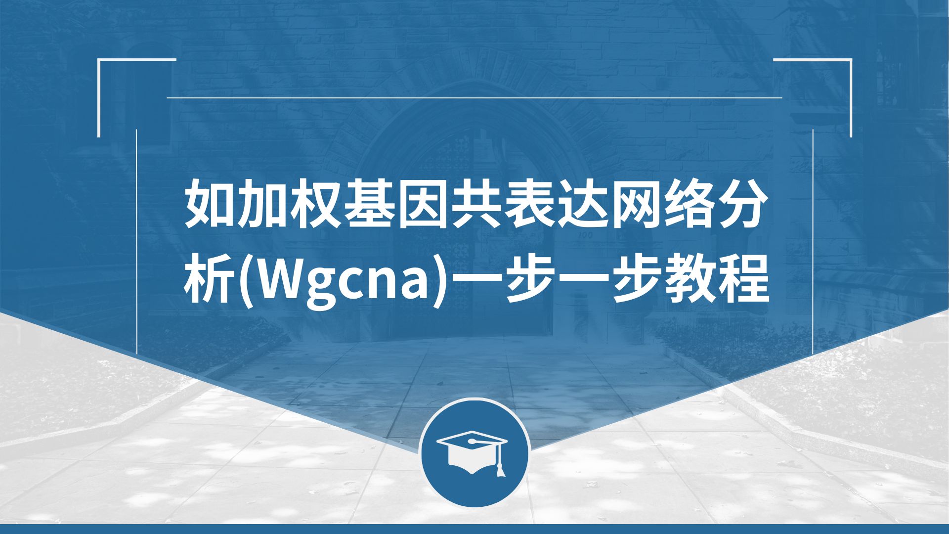 如加权基因共表达网络分析(Wgcna)一步一步教程哔哩哔哩bilibili