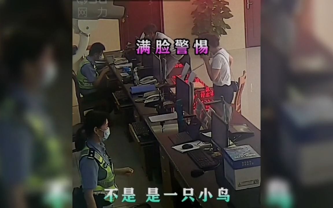 [图]盘点吓到警察的爆笑场面，上缴武器吓坏民警，当时双方都害怕极了