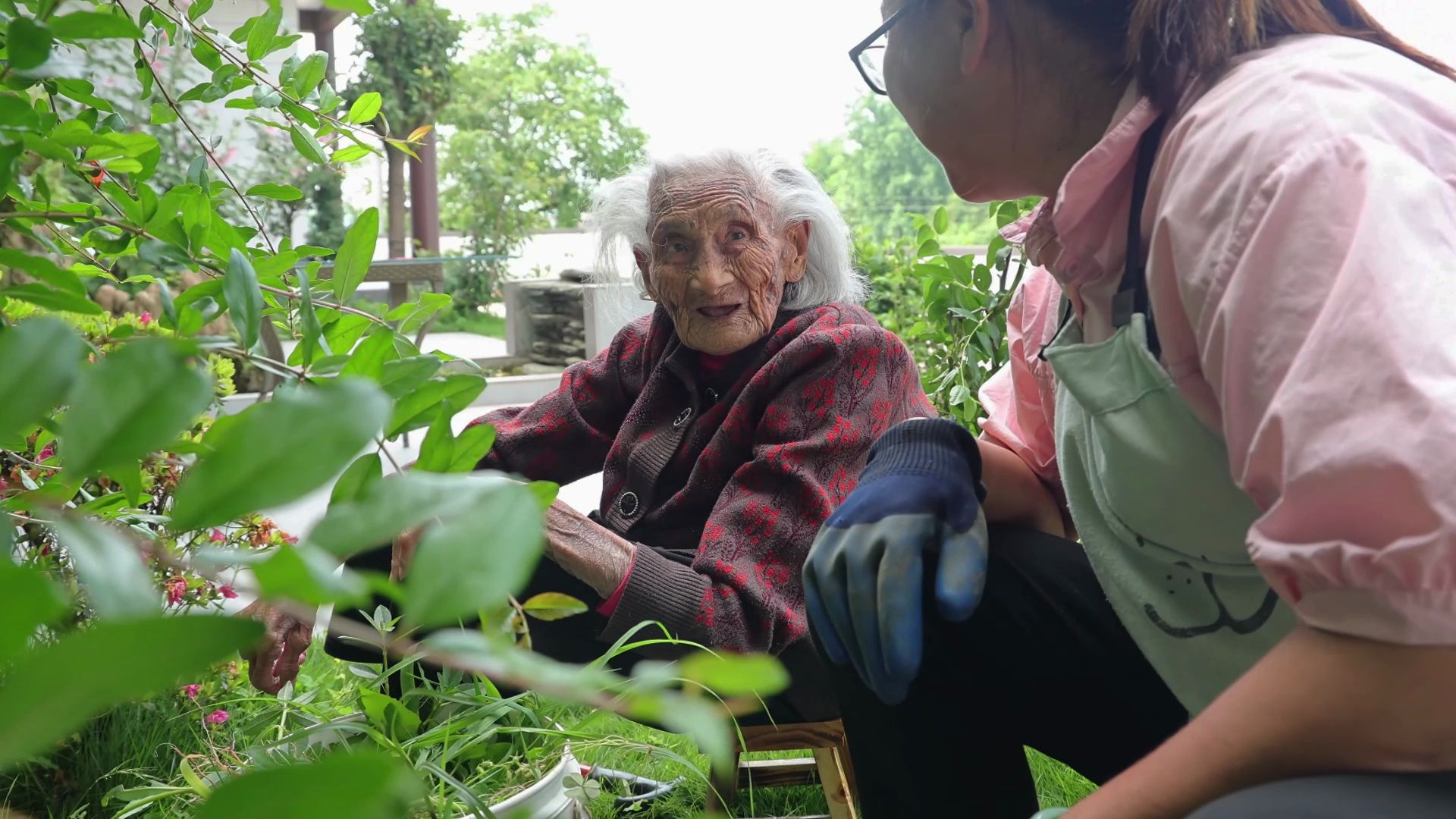 奶奶想吃猪儿粑 ,二嫂给百岁老人出难题,二哥怀疑媳妇真实意图
