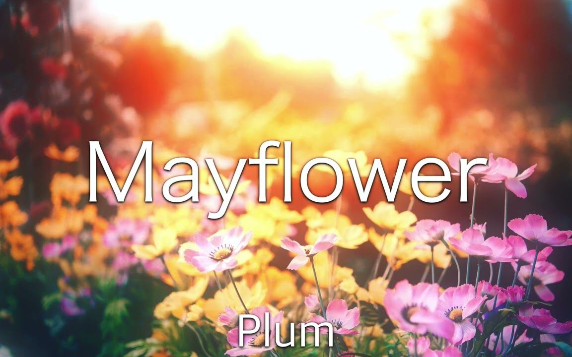 [图]【新曲速递】5月，在一个明媚春日的花园里！Plum - Mayflower