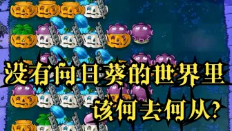 NE 无花无炮