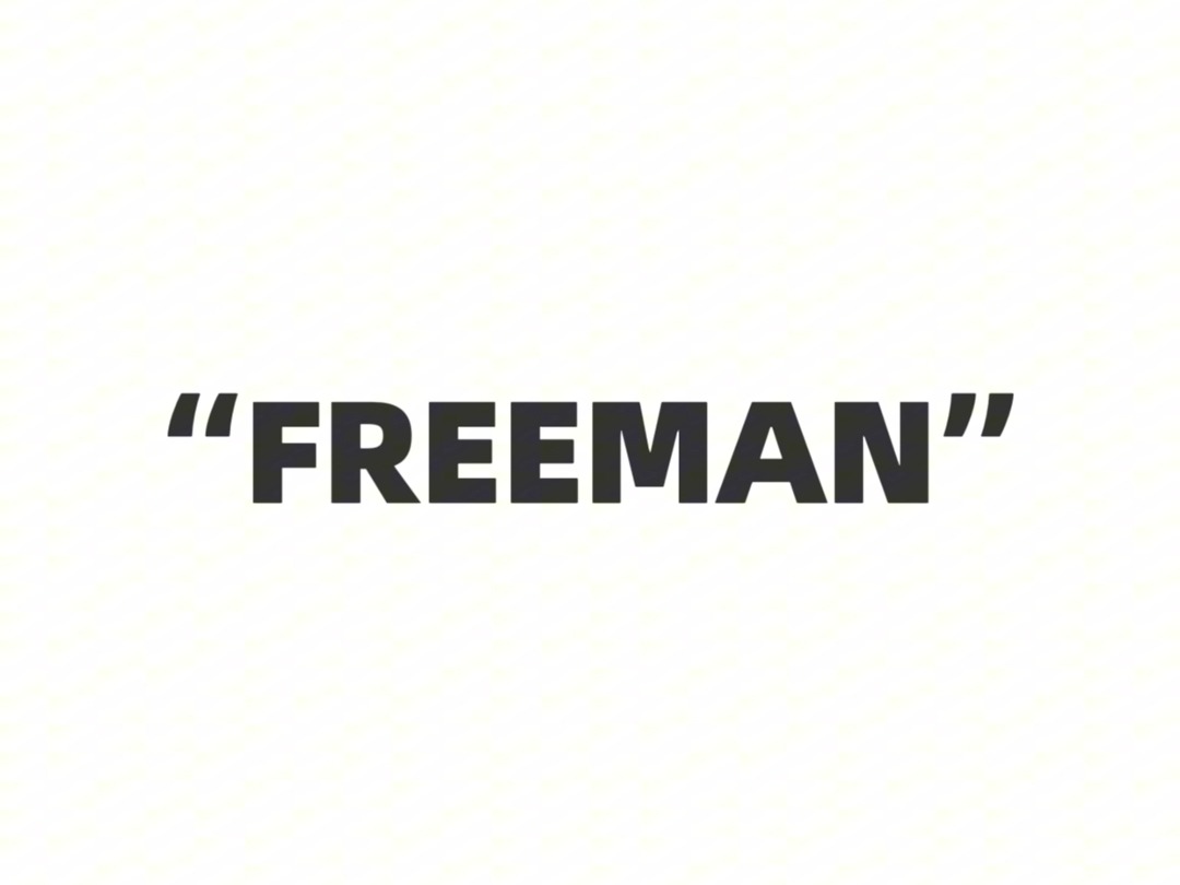 将会在2024年底爆火的说唱专辑"FREEMAN"哔哩哔哩bilibili