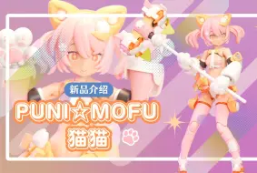 Download Video: 超可爱『PUNI☆MOFU 猫猫』隆重登场！【新品介绍】