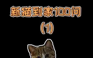 Скачать видео: 新猫到家100问1