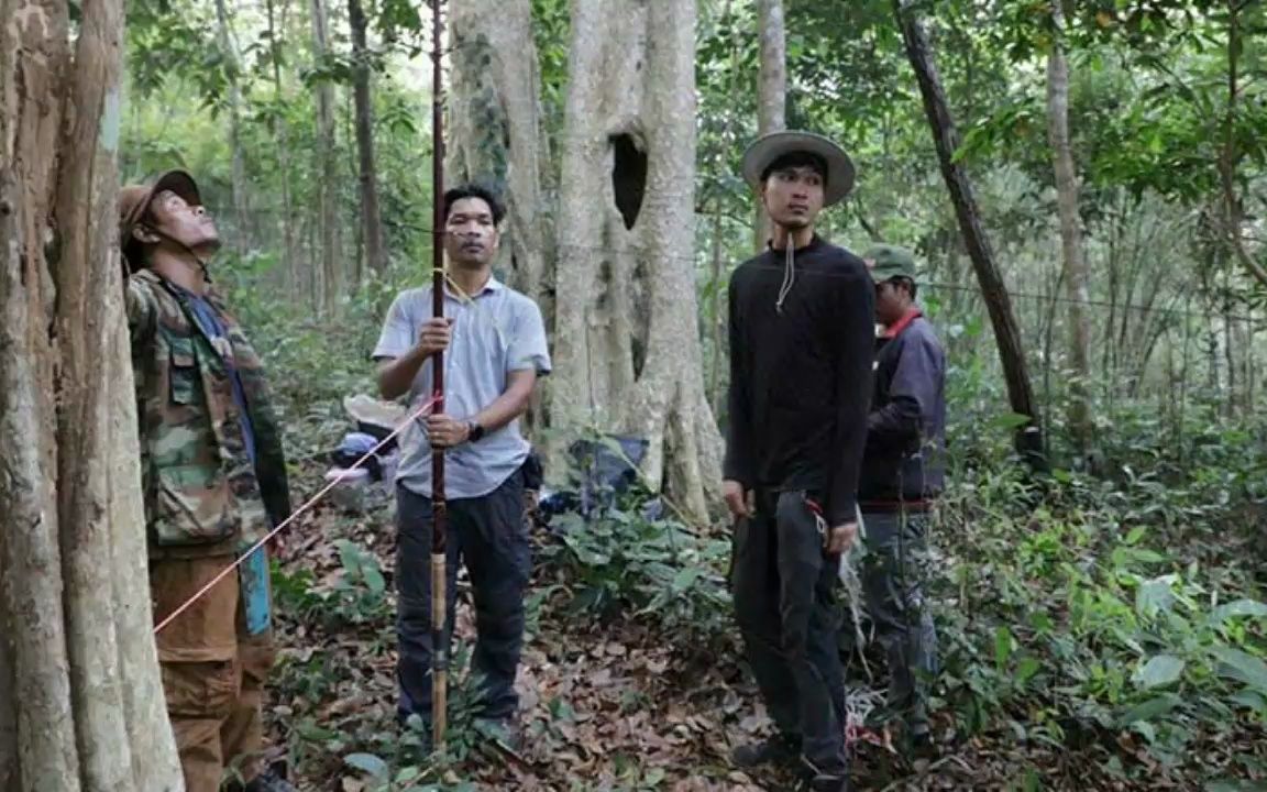 [图]Female Indochinese leopard detected in Mondulkiri 在柬埔寨的蒙多基里省发现雌性印度支那豹