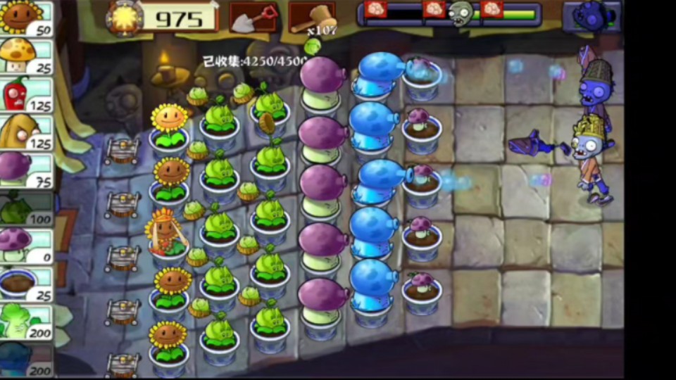 植物大战僵尸整合版真假雷音寺隐藏关6-8