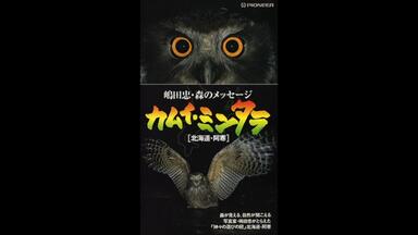 平沢進｜音源】P-0 Gazio Mix CD (Full Album)_哔哩哔哩_bilibili