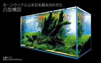 Adaview 90cm水槽レイアウトホーンウッド凸型構図編 哔哩哔哩 Bilibili