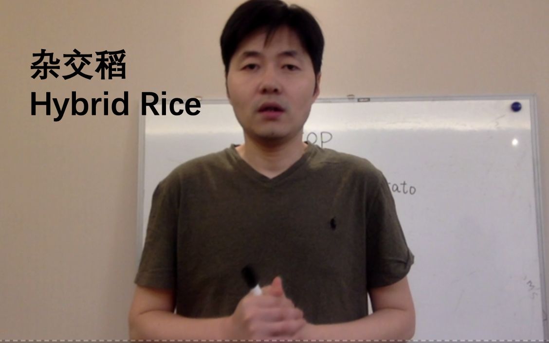 每日一词Hybrid rice哔哩哔哩bilibili