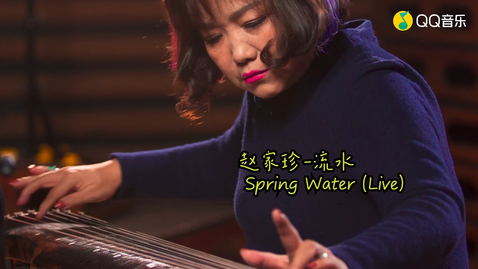 瑞鸣音乐赵家珍流水 Spring Water (Live)(蓝光现场)哔哩哔哩bilibili